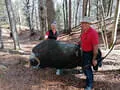Ausflug Scharnitz Bild 20