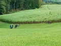 Ausflug Mühlviertel Bild 20