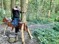 Ausflug Mühlviertel Bild 13