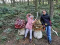 Ausflug Mühlviertel Bild 31