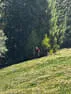 Ausflug Iseltal Bild 30
