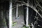Nachtschießen 26.10. Bild 37